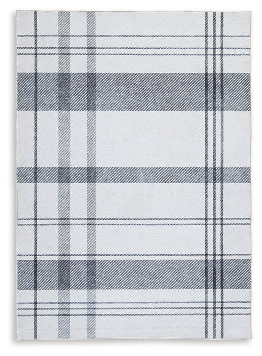 Kaidlow Washable Medium Rug