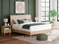 Cielden King Panel Bed with Mirrored Dresser and Nightstand